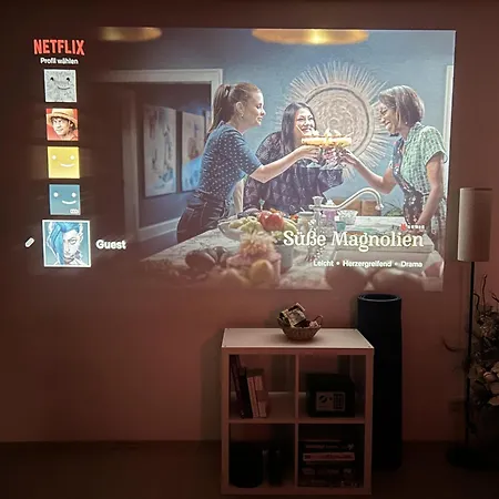 Zentrale Ferienwohnung Trier-Euren mit Heimkino, Küche&Wallbox