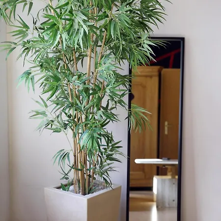 Bat Solutions Trier-euren - Alles Was Ein Nicht Bietet - 35 Qm Ferienwohnung, Heimkino, Wallbox, Kueche Fuer 4 Personen Lägenhet